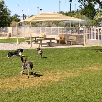 Dog Park at Freedom Park photo 2